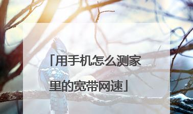 分享提高宽带网速的方法（解决网速慢、提高上网体验） 