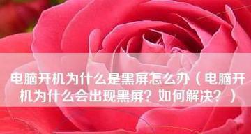 手机黑屏修复方法大全（解决手机黑屏的实用技巧与步骤） 