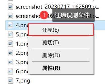 如何恢复被移动U盘删除的文件数据（利用专业工具轻松恢复误删除的文件） 