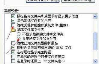U盘文件被隐藏了怎么恢复？恢复文件的正确步骤是什么？ 