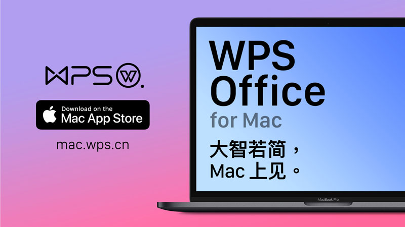  WPS表格数据分析工具详解