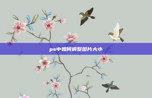 ps中如何调整图片大小